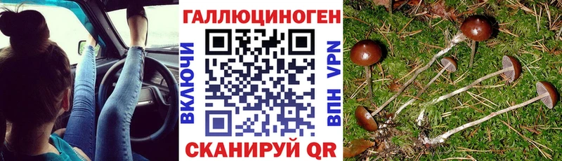 магазин Бабушкин Галлюциногенные грибы Cubensis